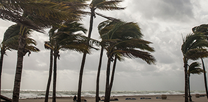 Hurricane Image [Provided by NHC]